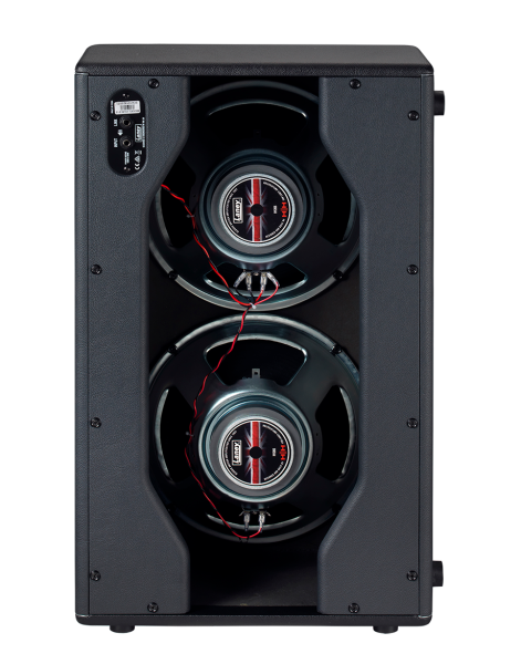 Photo of CUB-SUPER CUB-212 Guitar Speaker Cabinet - 2x12 inch HH custom speakers - Back