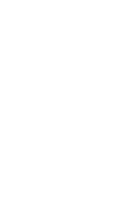 Prism Wizard Logo